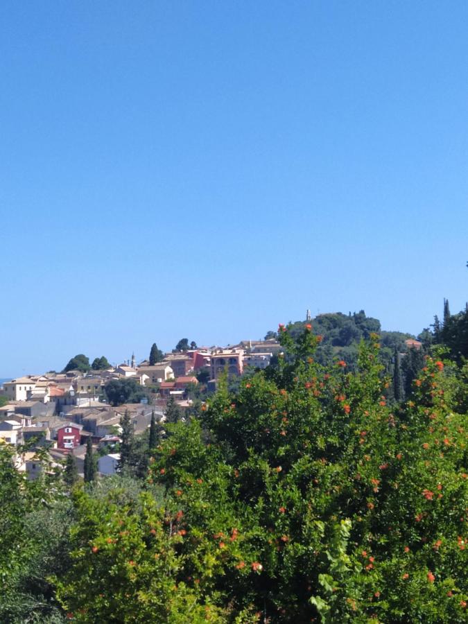 Nikos' Home Gastouri  エクステリア 写真