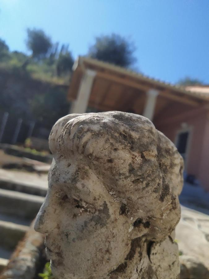 Nikos' Home Gastouri  エクステリア 写真