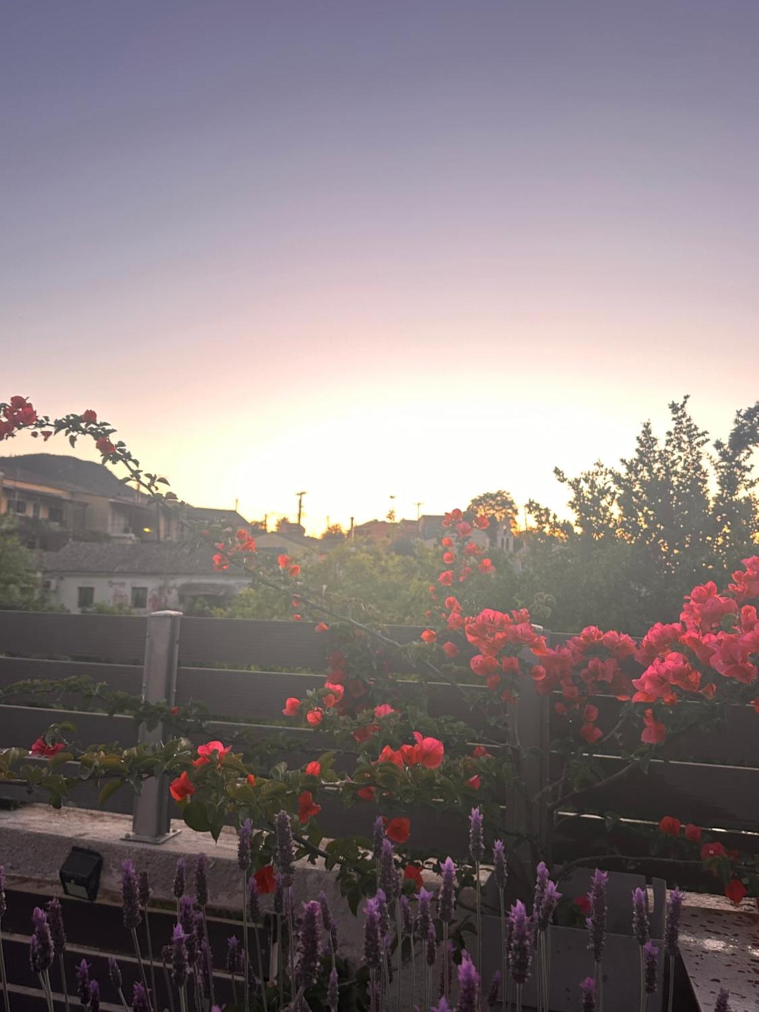 Nikos' Home Gastouri  エクステリア 写真