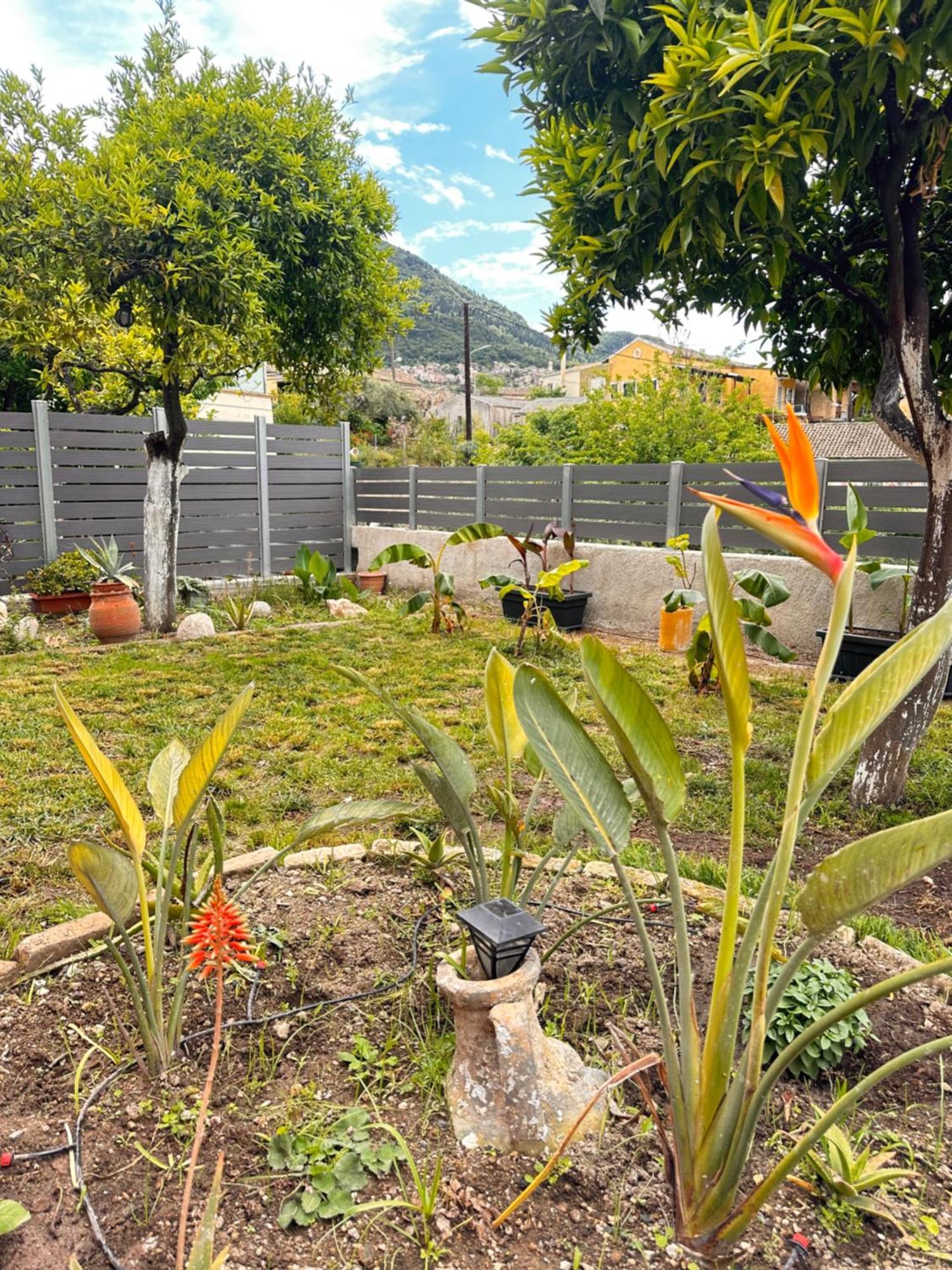 Nikos' Home Gastouri  エクステリア 写真